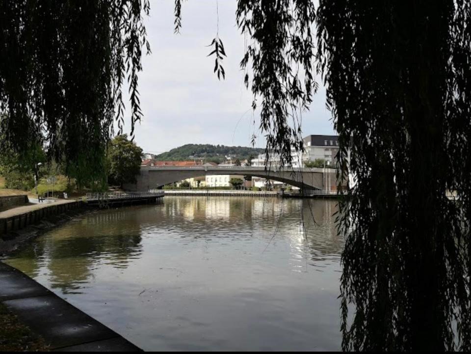 Le Cocon Des Rives Appartement Nancy