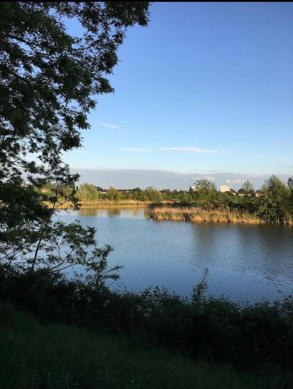 Le Cocon Des Rives Nancy