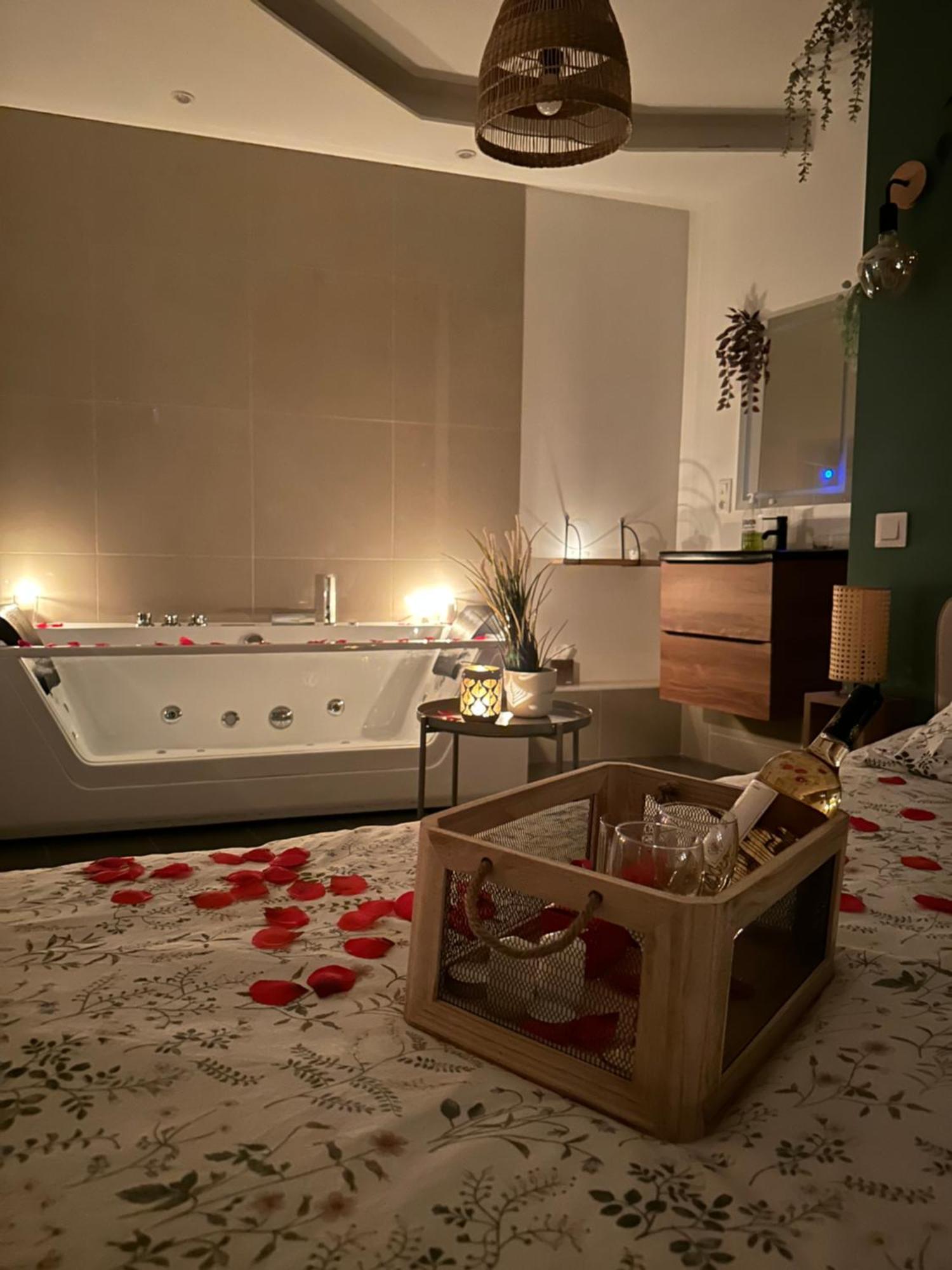 Appartement Le Cocon Des Rives Nancy